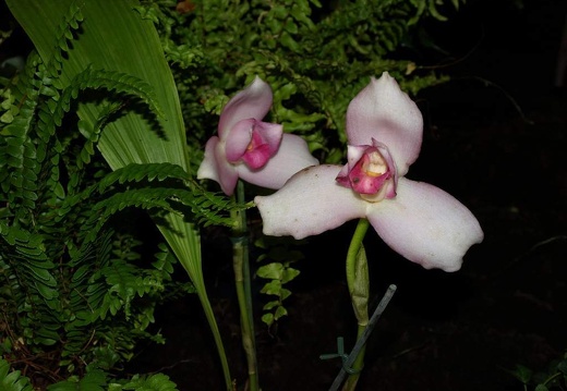 SB020910
