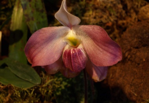 SB020924