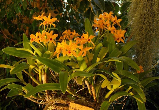 SB020927