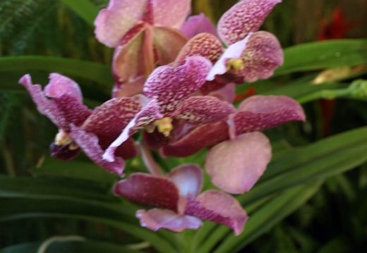 SB020984