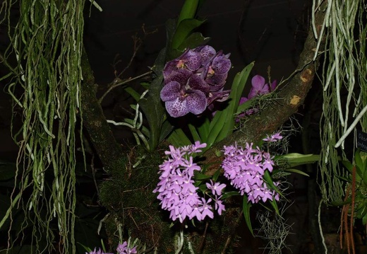 SB021013