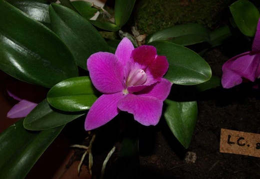 SB021018