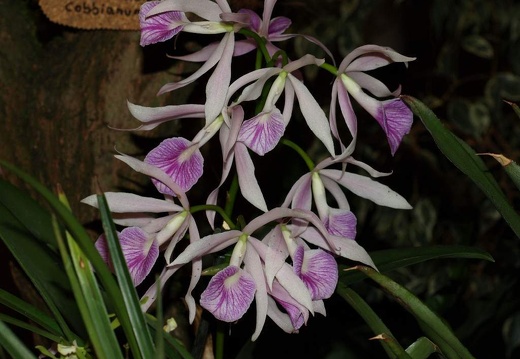 SB021033