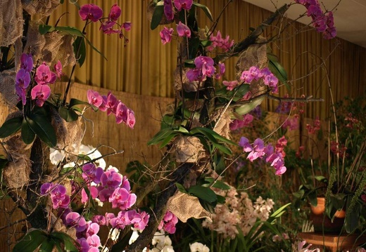 SB021049