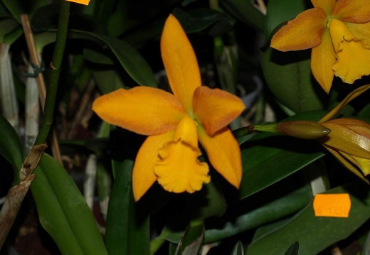 SB021051