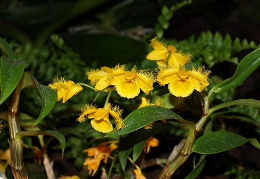SB021080