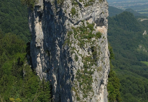 DSE 0068