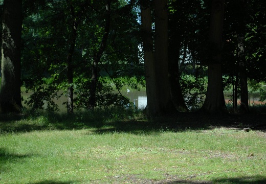 DSE 0259