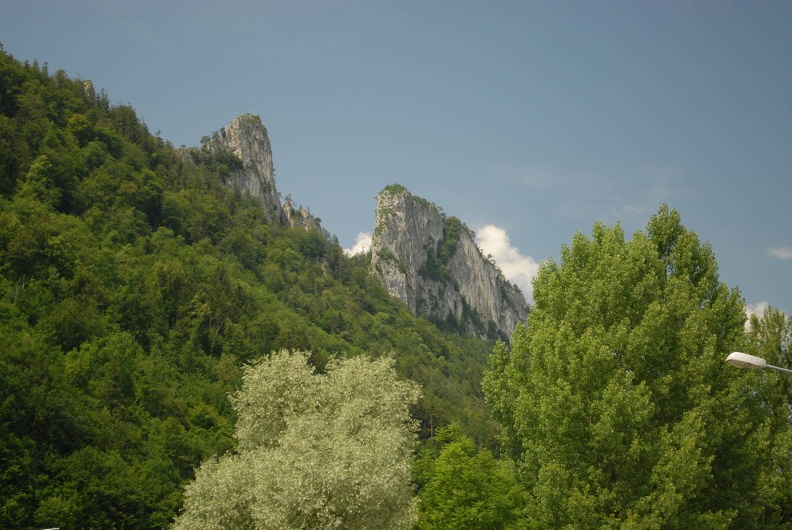 DSE_5493.JPG