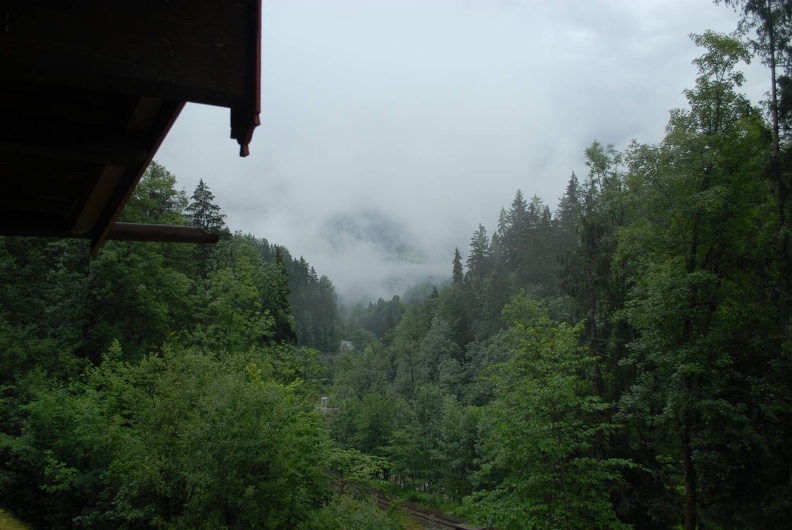 DSE_5634.JPG