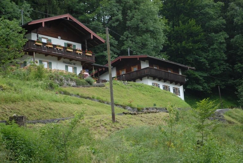 DSE_4539.JPG