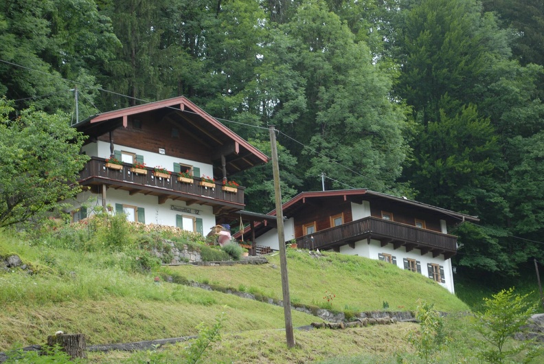 DSE_4540.JPG