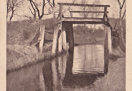 IMG 20240202 0022